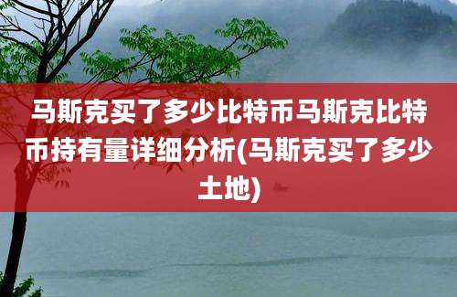 马斯克买了多少比特币马斯克比特币持有量详细分析(马斯克买了多少土地)