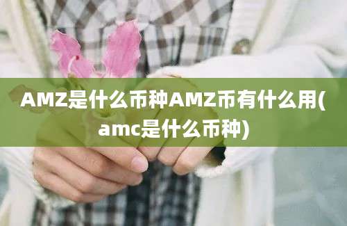 AMZ是什么币种AMZ币有什么用(amc是什么币种)