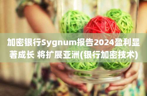 加密银行Sygnum报告2024盈利显著成长 将扩展亚洲(银行加密技术)