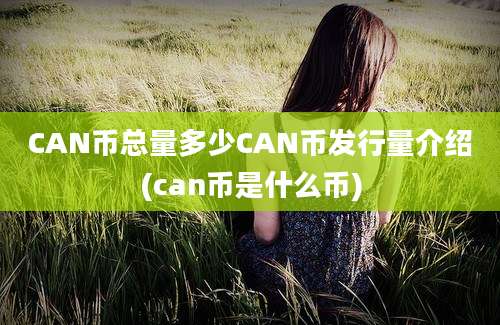 CAN币总量多少CAN币发行量介绍(can币是什么币)