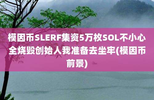 模因币SLERF集资5万枚SOL不小心全烧毁创始人我准备去坐牢(模因币前景)