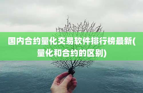 国内合约量化交易软件排行榜最新(量化和合约的区别)