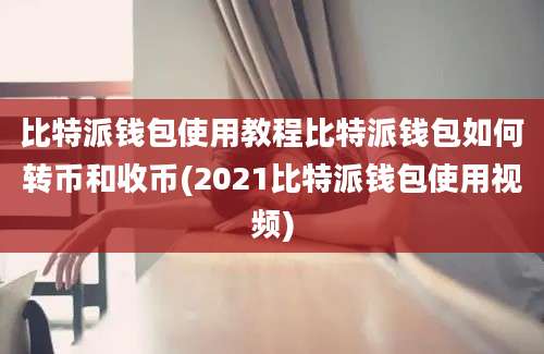 比特派钱包使用教程比特派钱包如何转币和收币(2021比特派钱包使用视频)