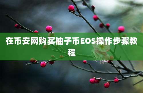 在币安网购买柚子币EOS操作步骤教程