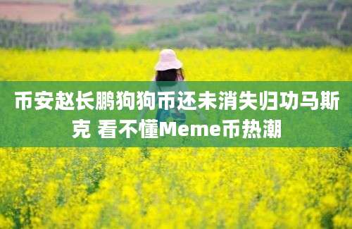 币安赵长鹏狗狗币还未消失归功马斯克 看不懂Meme币热潮