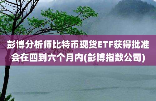 彭博分析师比特币现货ETF获得批准会在四到六个月内(彭博指数公司)