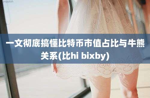 一文彻底搞懂比特币市值占比与牛熊关系(比hi bixby)