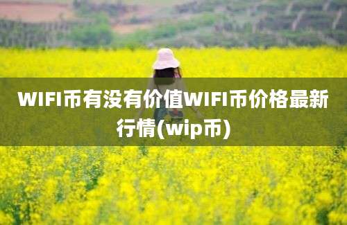 WIFI币有没有价值WIFI币价格最新行情(wip币)