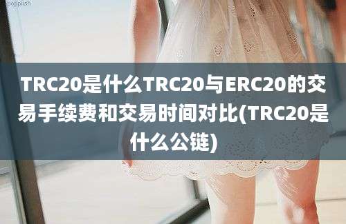 TRC20是什么TRC20与ERC20的交易手续费和交易时间对比(TRC20是什么公链)