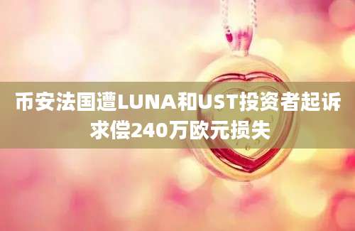 币安法国遭LUNA和UST投资者起诉 求偿240万欧元损失