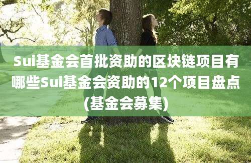 Sui基金会首批资助的区块链项目有哪些Sui基金会资助的12个项目盘点(基金会募集)