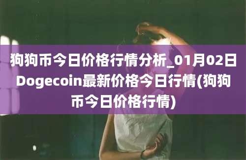 狗狗币今日价格行情分析_01月02日Dogecoin最新价格今日行情(狗狗币今日价格行情)