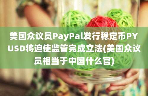 美国众议员PayPal发行稳定币PYUSD将迫使监管完成立法(美国众议员相当于中国什么官)