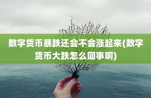 数字货币暴跌还会不会涨起来(数字货币大跌怎么回事啊)