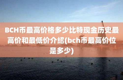 BCH币最高价格多少比特现金历史最高价和最低价介绍(bch币最高价位是多少)