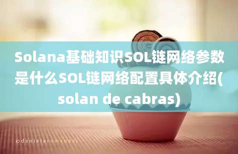 Solana基础知识SOL链网络参数是什么SOL链网络配置具体介绍(solan de cabras)