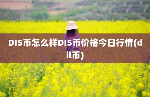 DIS币怎么样DIS币价格今日行情(dil币)