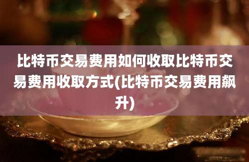 比特币交易费用如何收取比特币交易费用收取方式(比特币交易费用飙升)