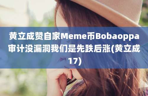 黄立成赞自家Meme币Bobaoppa审计没漏洞我们是先跌后涨(黄立成17)