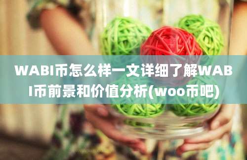 WABI币怎么样一文详细了解WABI币前景和价值分析(woo币吧)