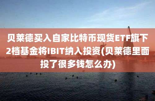 贝莱德买入自家比特币现货ETF旗下2档基金将IBIT纳入投资(贝莱德里面投了很多钱怎么办)