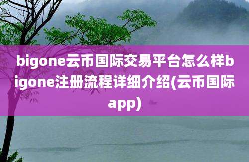 bigone云币国际交易平台怎么样bigone注册流程详细介绍(云币国际app)