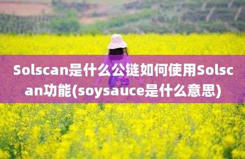 Solscan是什么公链如何使用Solscan功能(soysauce是什么意思)