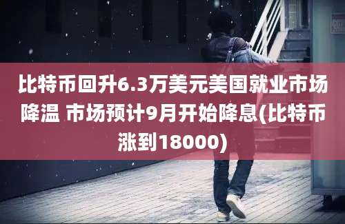 比特币回升6.3万美元美国就业市场降温 市场预计9月开始降息(比特币涨到18000)