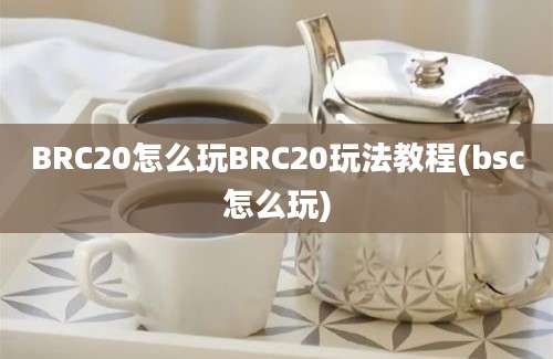 BRC20怎么玩BRC20玩法教程(bsc怎么玩)