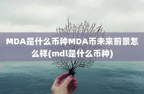 MDA是什么币种MDA币未来前景怎么样(mdl是什么币种)