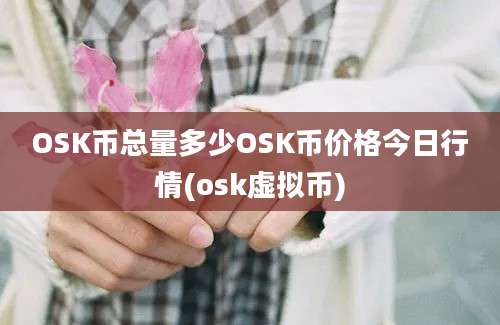 OSK币总量多少OSK币价格今日行情(osk虚拟币)