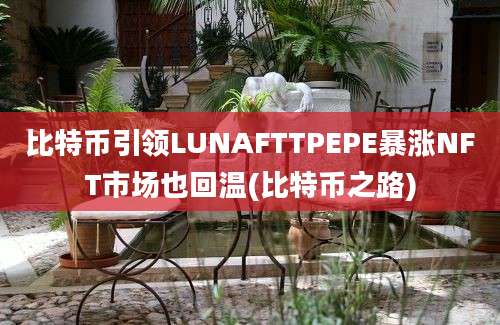 比特币引领LUNAFTTPEPE暴涨NFT市场也回温(比特币之路)