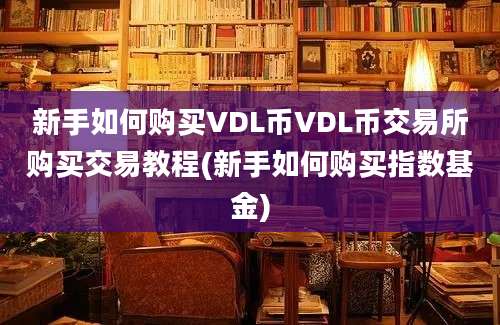 新手如何购买VDL币VDL币交易所购买交易教程(新手如何购买指数基金)