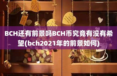 BCH还有前景吗BCH币究竟有没有希望(bch2021年的前景如何)