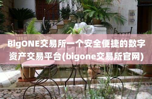 BigONE交易所一个安全便捷的数字资产交易平台(bigone交易所官网)