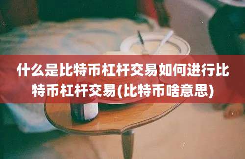 什么是比特币杠杆交易如何进行比特币杠杆交易(比特币啥意思)