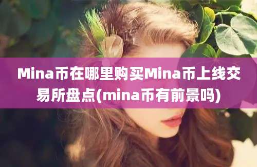 Mina币在哪里购买Mina币上线交易所盘点(mina币有前景吗)