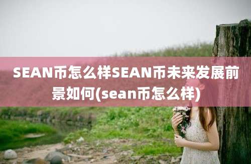 SEAN币怎么样SEAN币未来发展前景如何(sean币怎么样)