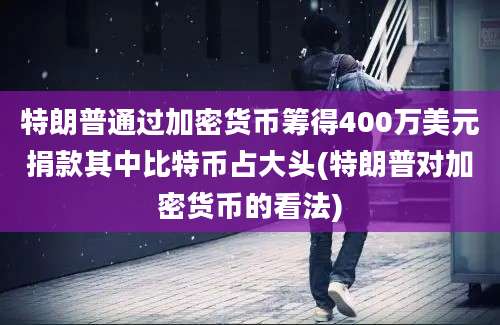 特朗普通过加密货币筹得400万美元捐款其中比特币占大头(特朗普对加密货币的看法)