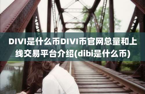 DIVI是什么币DIVI币官网总量和上线交易平台介绍(dibi是什么币)