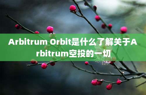 Arbitrum Orbit是什么了解关于Arbitrum空投的一切