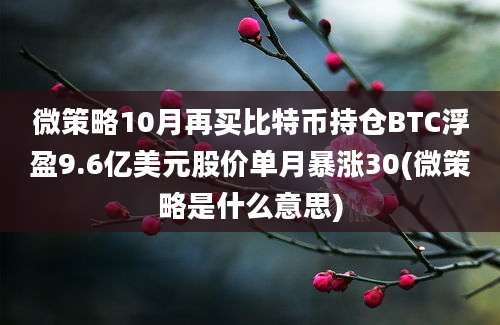 微策略10月再买比特币持仓BTC浮盈9.6亿美元股价单月暴涨30(微策略是什么意思)