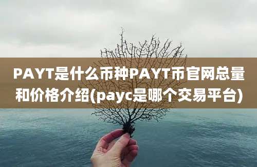 PAYT是什么币种PAYT币官网总量和价格介绍(payc是哪个交易平台)