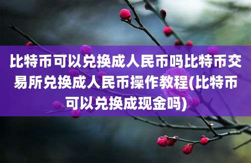 比特币可以兑换成人民币吗比特币交易所兑换成人民币操作教程(比特币可以兑换成现金吗)