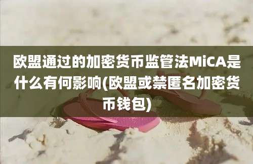 欧盟通过的加密货币监管法MiCA是什么有何影响(欧盟或禁匿名加密货币钱包)