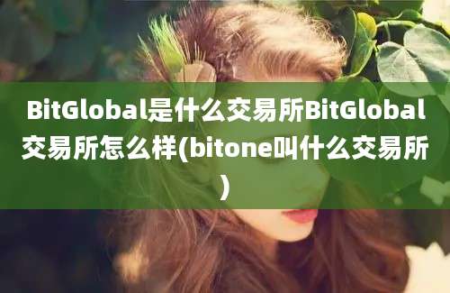 BitGlobal是什么交易所BitGlobal交易所怎么样(bitone叫什么交易所)