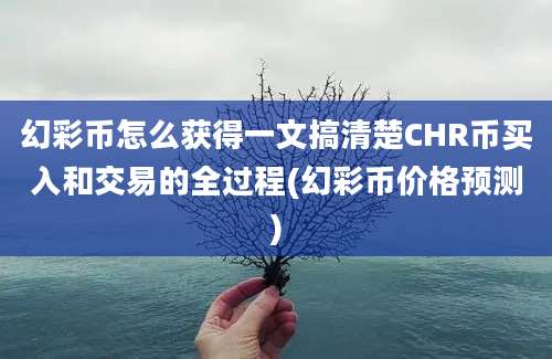 幻彩币怎么获得一文搞清楚CHR币买入和交易的全过程(幻彩币价格预测)