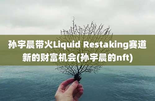 孙宇晨带火Liquid Restaking赛道新的财富机会(孙宇晨的nft)