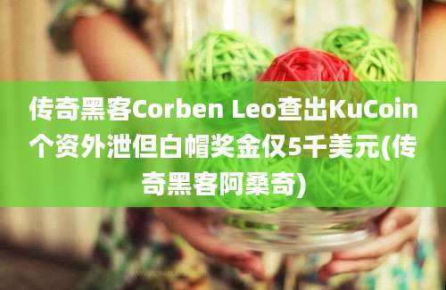 传奇黑客Corben Leo查出KuCoin个资外泄但白帽奖金仅5千美元(传奇黑客阿桑奇)