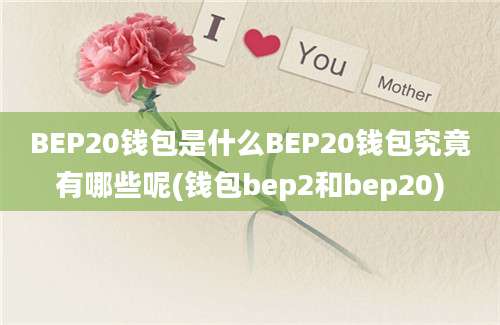 BEP20钱包是什么BEP20钱包究竟有哪些呢(钱包bep2和bep20)